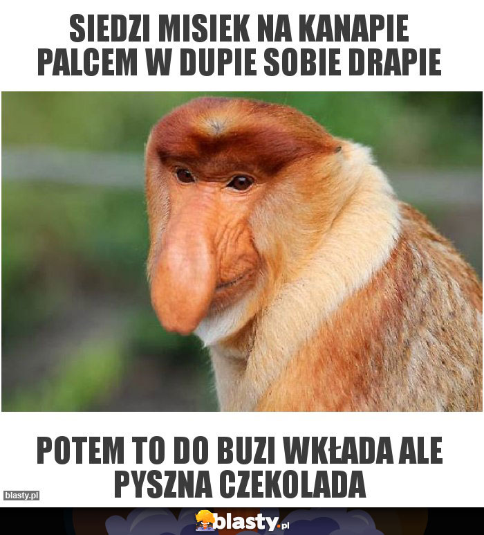 Siedzi misiek na kanapie palcem w dupie sobie drapie