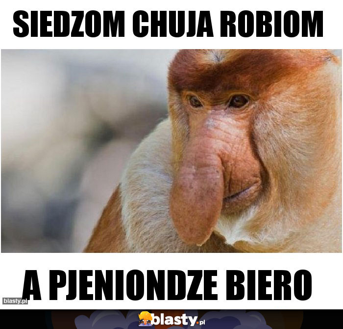 Siedzom chuja robiom