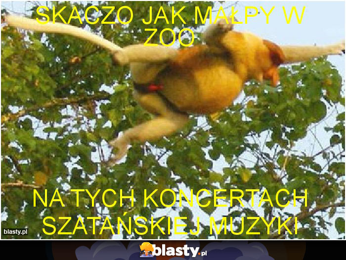 Skaczo jak małpy w zoo