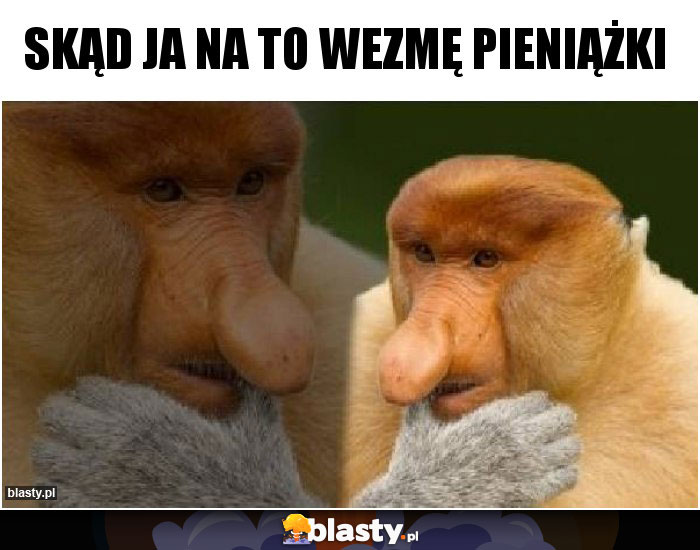 Skąd ja na to wezmę pieniążki