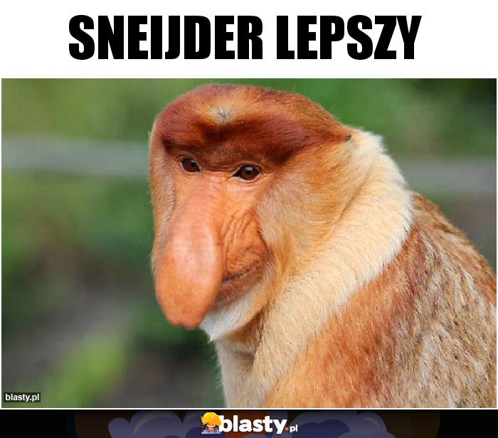 Sneijder lepszy