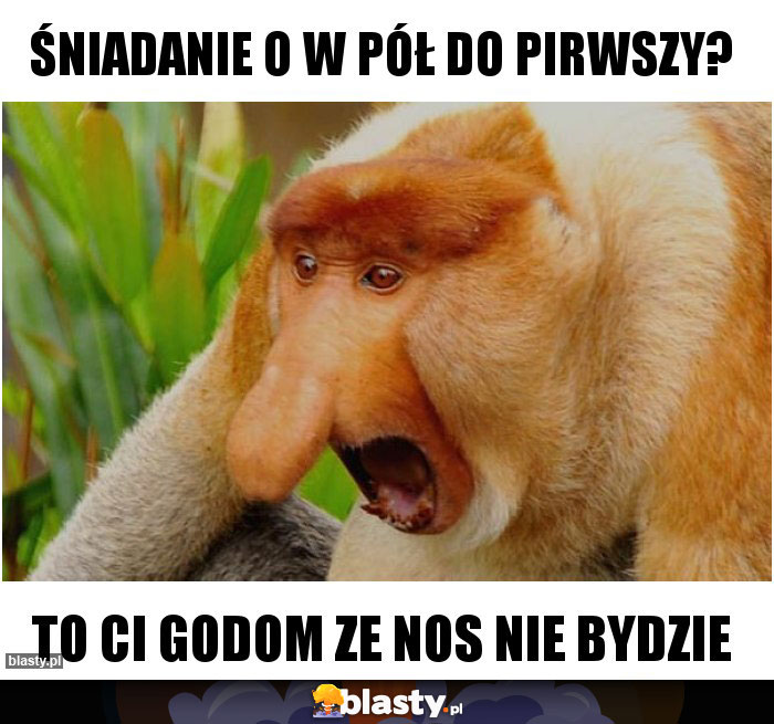 ŚNIADANIE O W PÓŁ DO PIRWSZY?