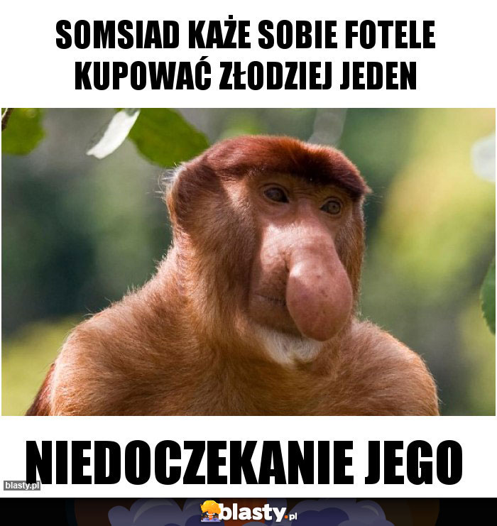 Somsiad każe sobie fotele kupować złodziej jeden