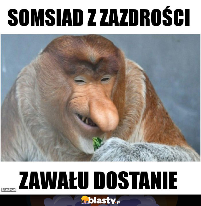 Somsiad z zazdrości