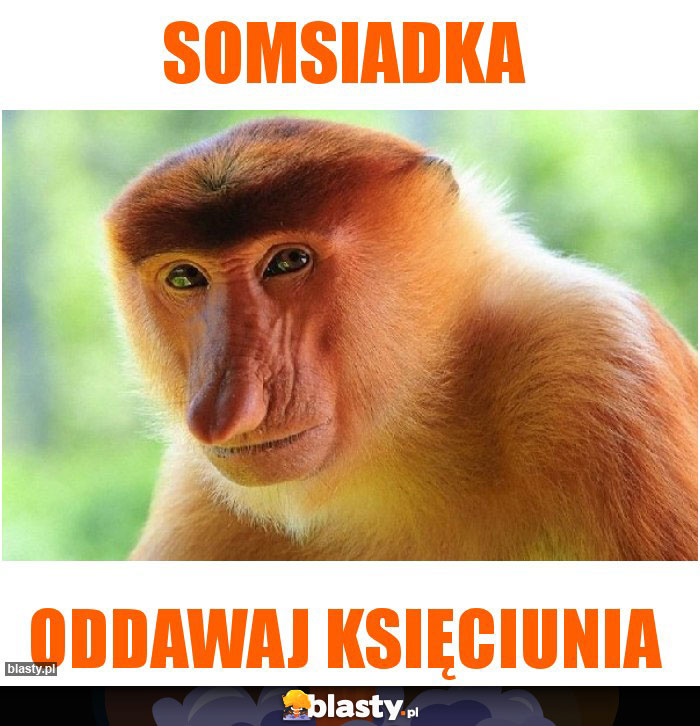 Somsiadka