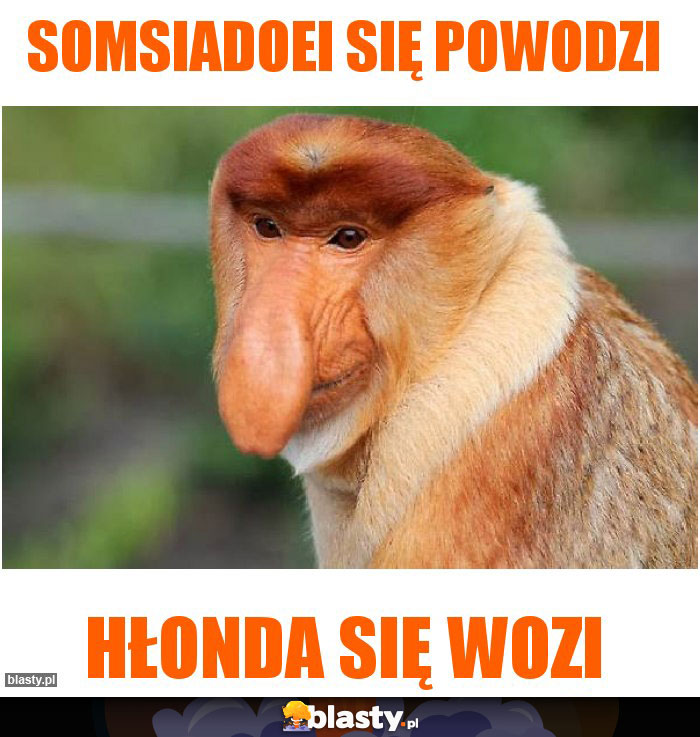 Somsiadoei się powodzi