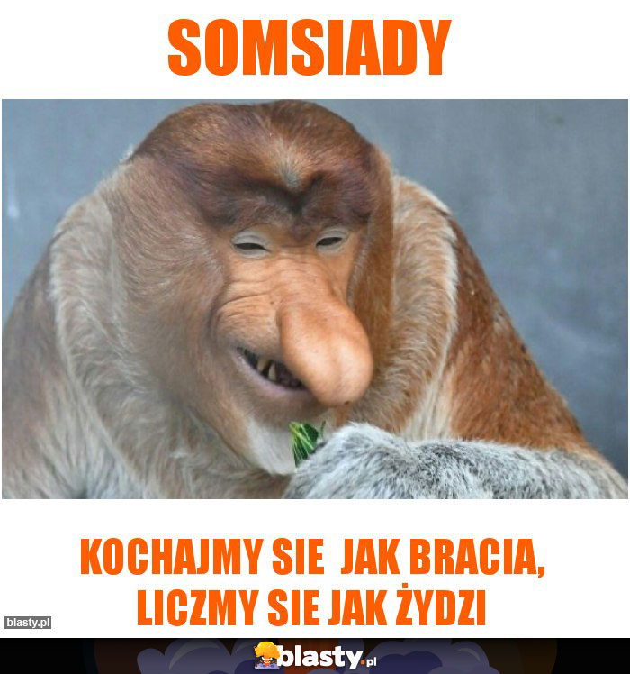 Somsiady