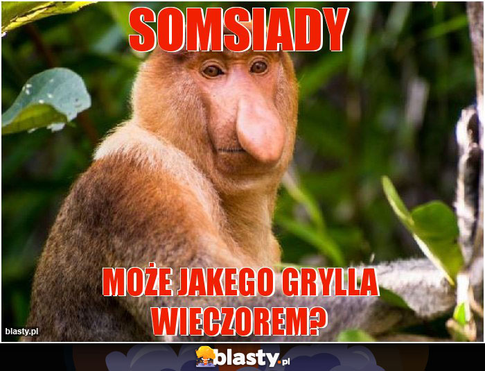 Somsiady