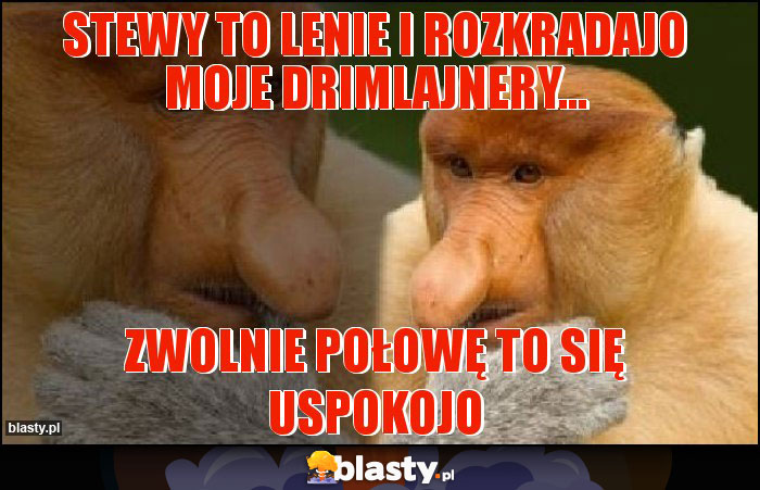 Stewy to lenie i rozkradajo moje drimlajnery...