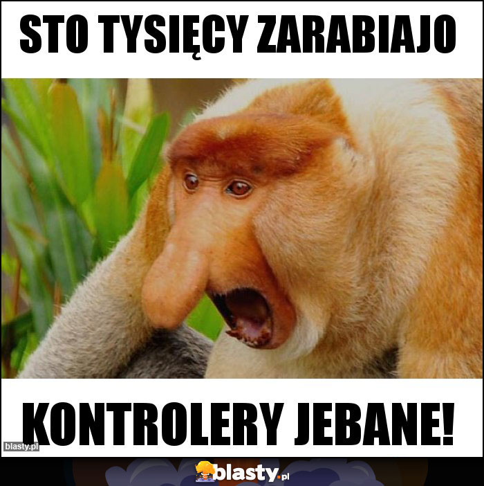 STO TYSIĘCY ZARABIAJO