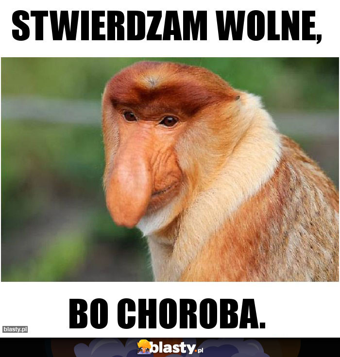 Stwierdzam wolne,