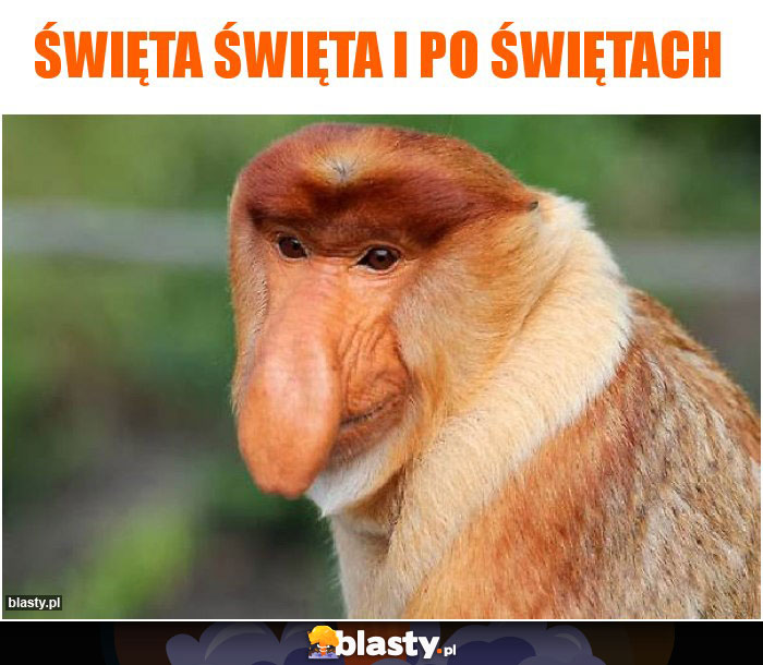 Święta święta i po świętach