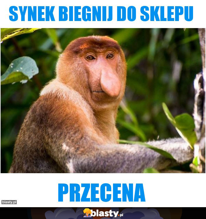 Synek biegnij do sklepu