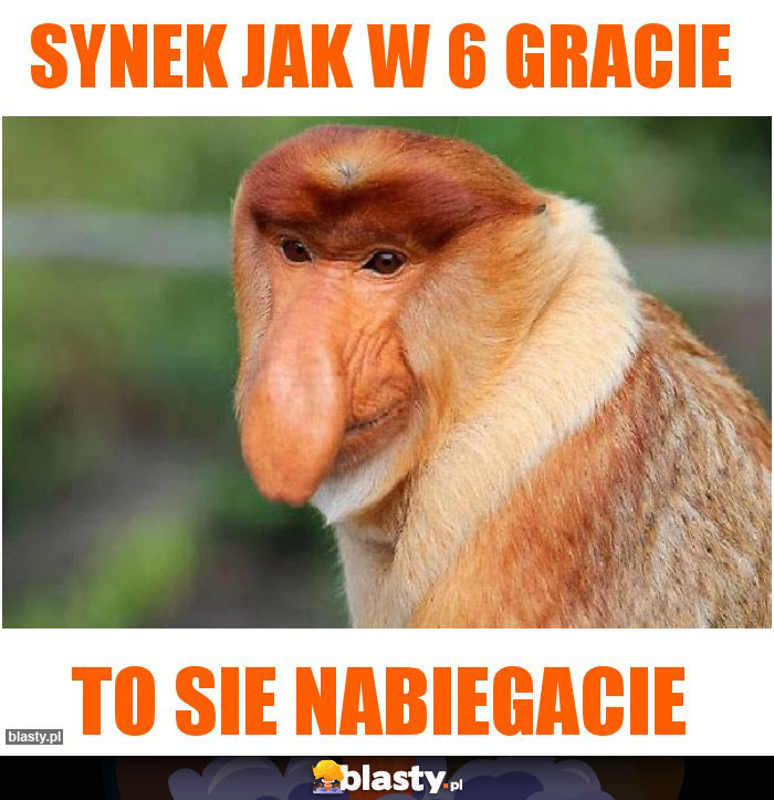 Synek jak w 6 gracie