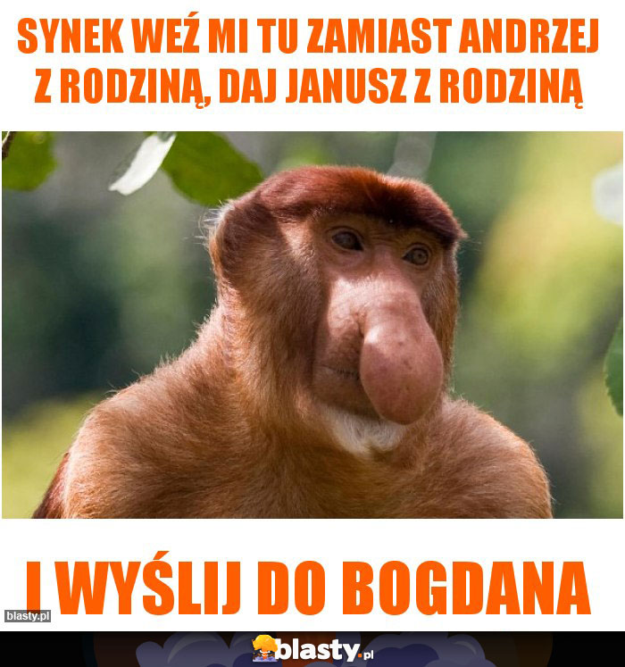 Synek weź mi tu zamiast Andrzej z rodziną, daj Janusz z rodziną