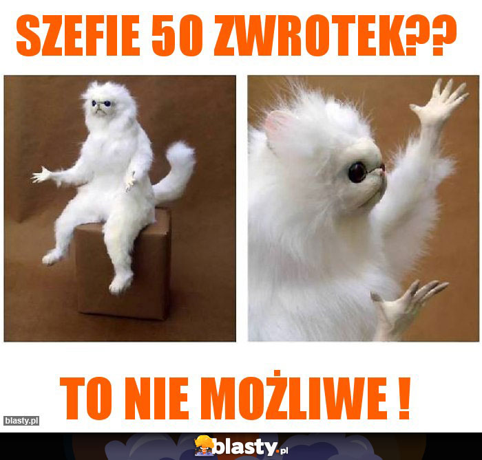 Szefie 50 zwrotek??