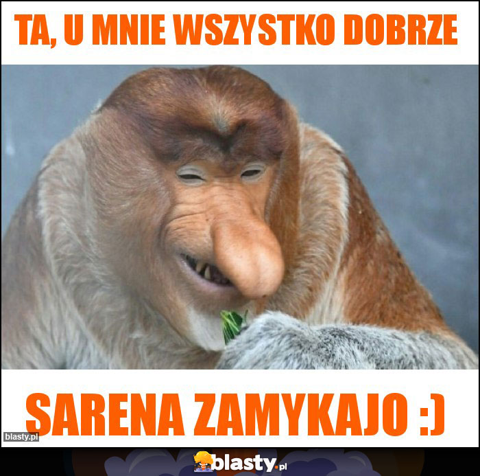 Ta, u mnie wszystko dobrze