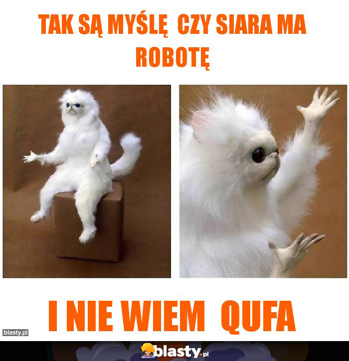 TAK SĄ MYŚLĘ  CZY SIARA MA ROBOTĘ