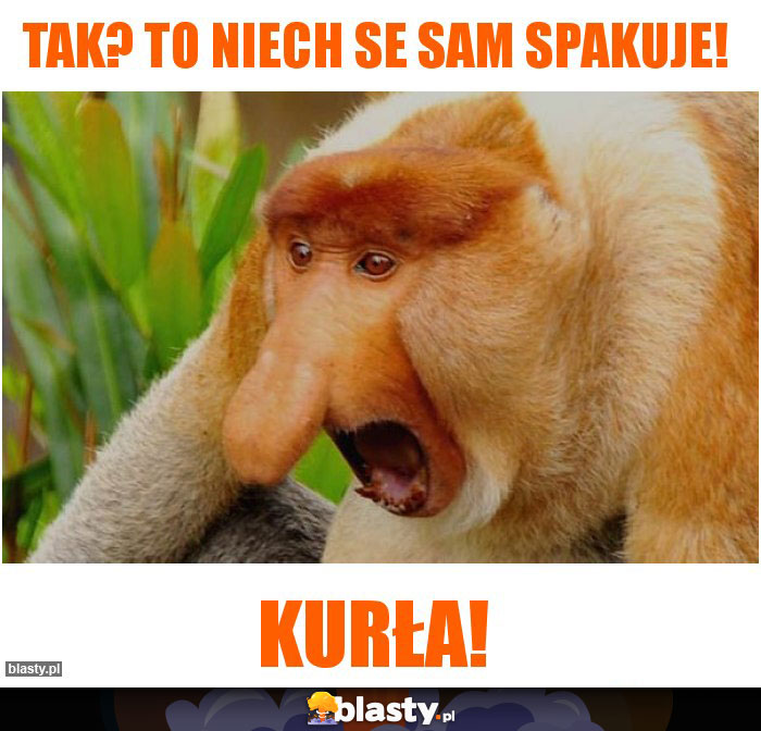 TAK? TO NIECH SE SAM SPAKUJE!