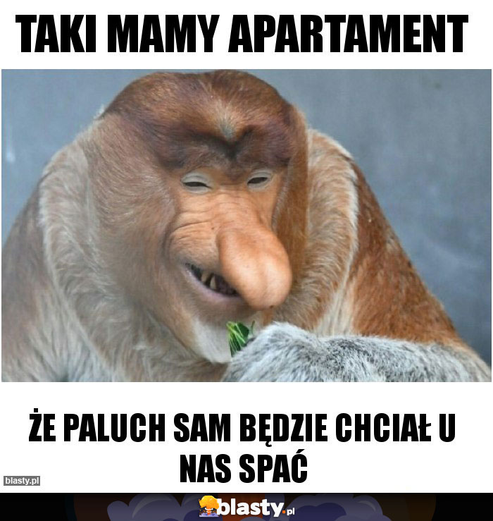 Taki mamy apartament