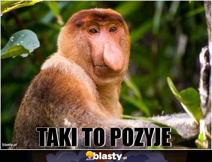 Taki to pozyje