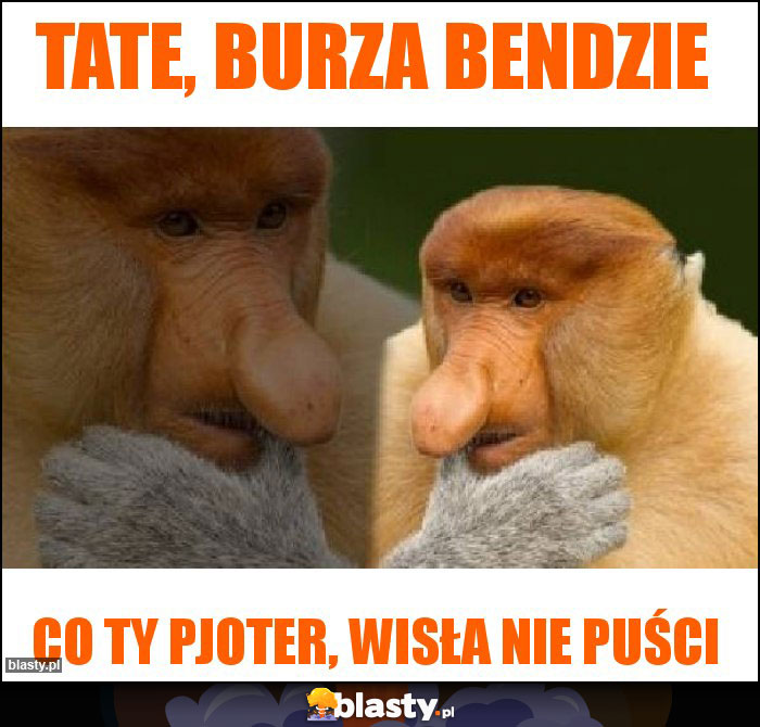 Tate, burza bendzie