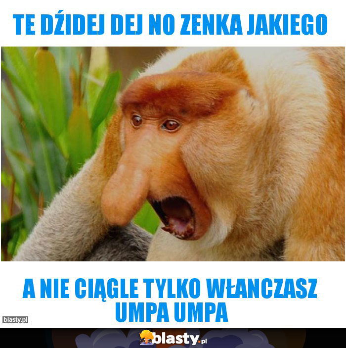 Te dźidej dej no zenka jakiego