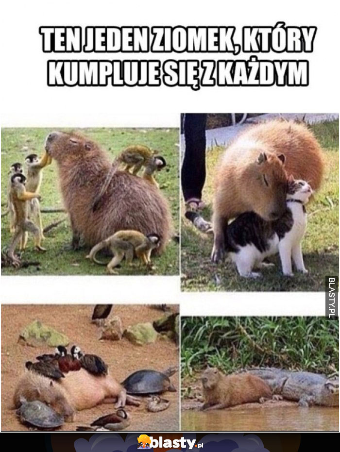 Ten jeden kumplujący się ziomek