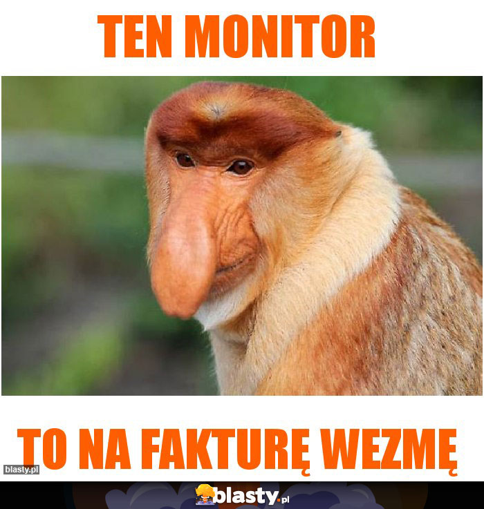 Ten monitor