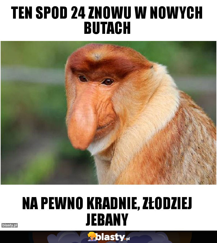 Ten spod 24 znowu w nowych butach