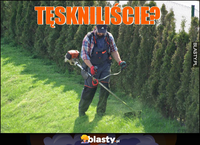 Tęskniliście?