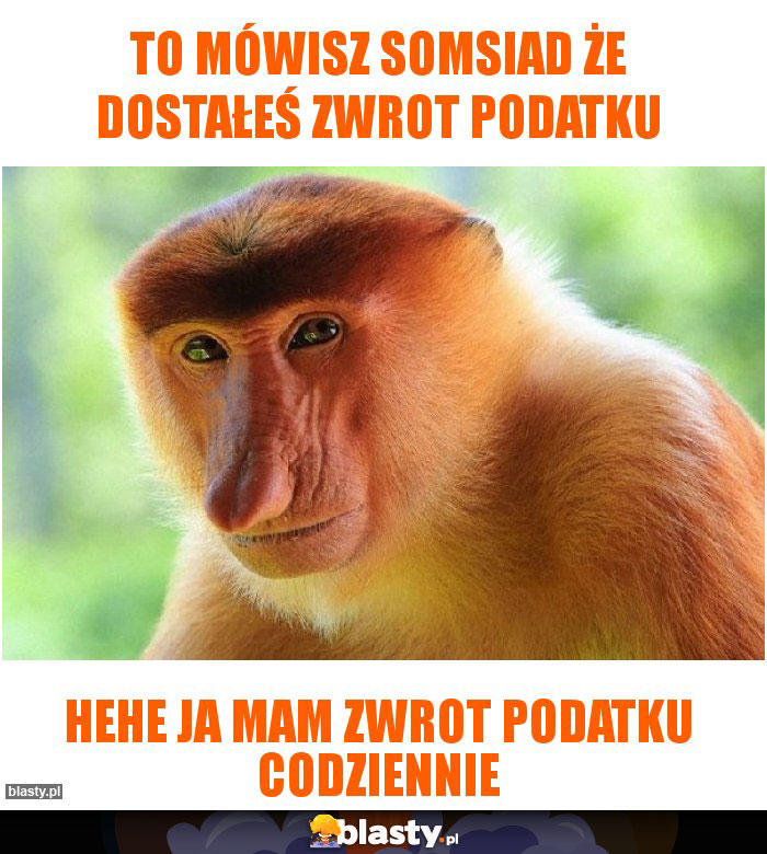 to mówisz somsiad że dostałeś zwrot podatku