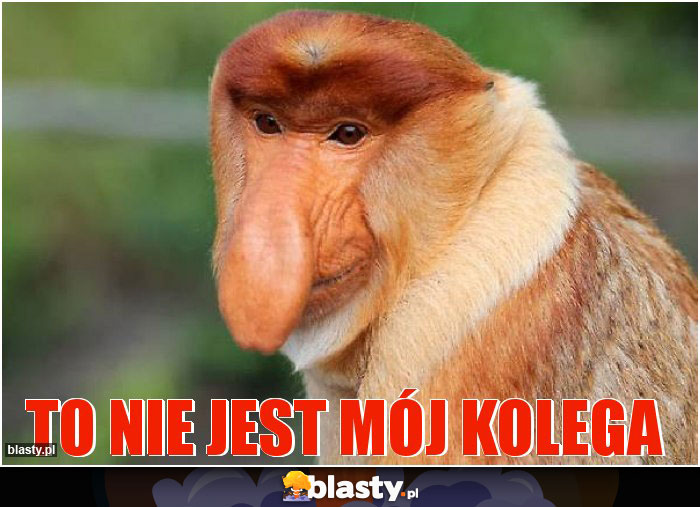 To nie jest mój kolega