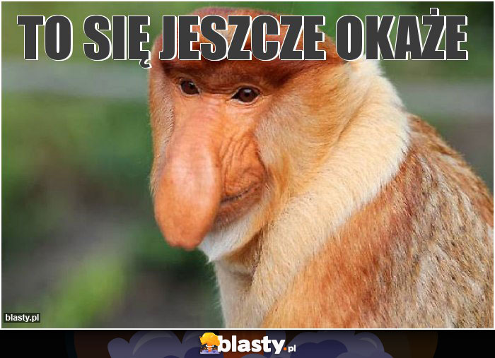 TO się jeszcze okaże