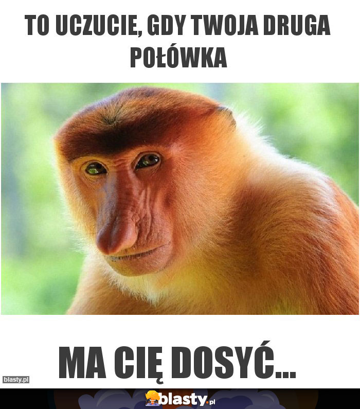 To uczucie, gdy Twoja druga połówka