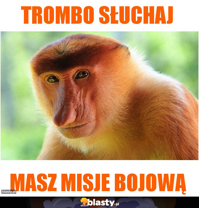 Trombo słuchaj