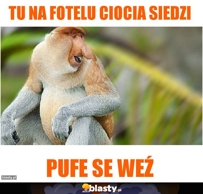 Tu na fotelu ciocia siedzi