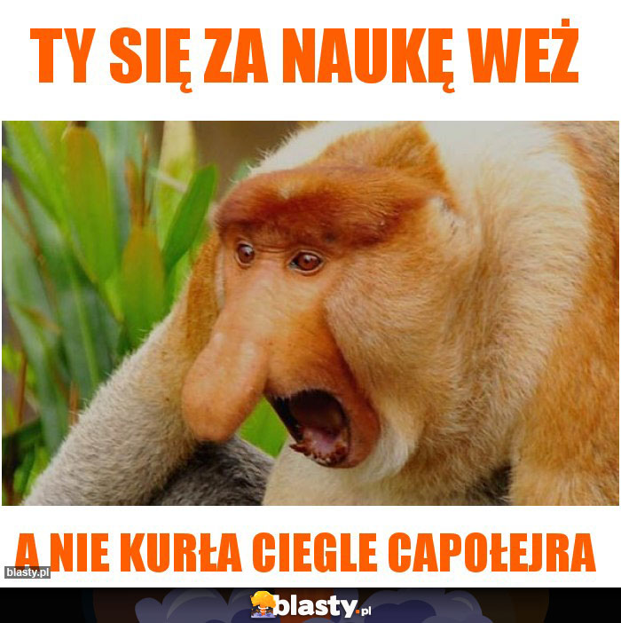 Ty się za naukę weż