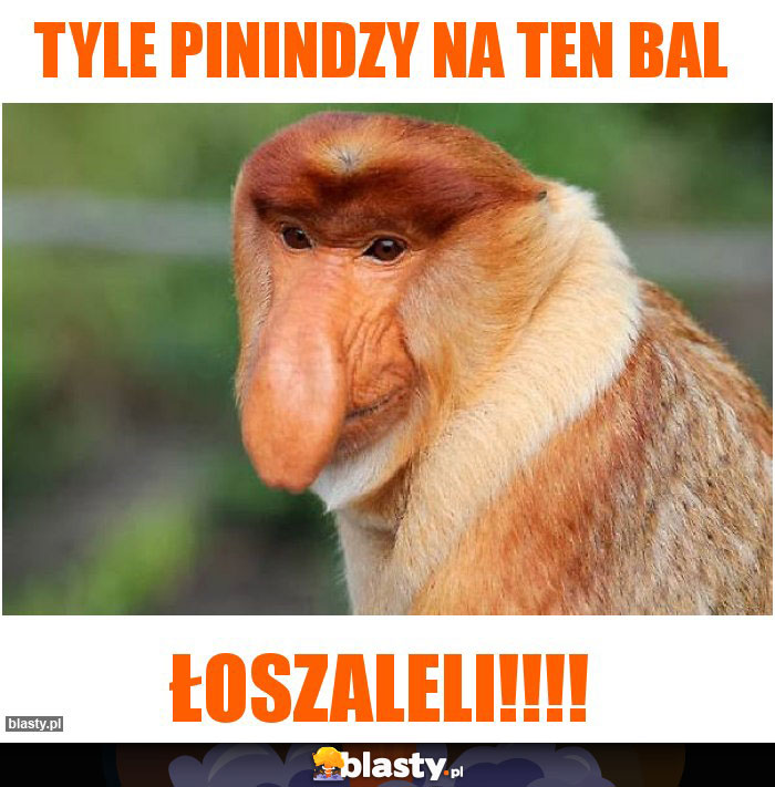 TYLE PININDZY NA TEN BAL