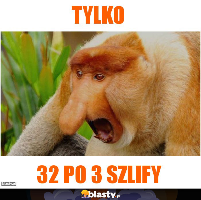 TYLKO