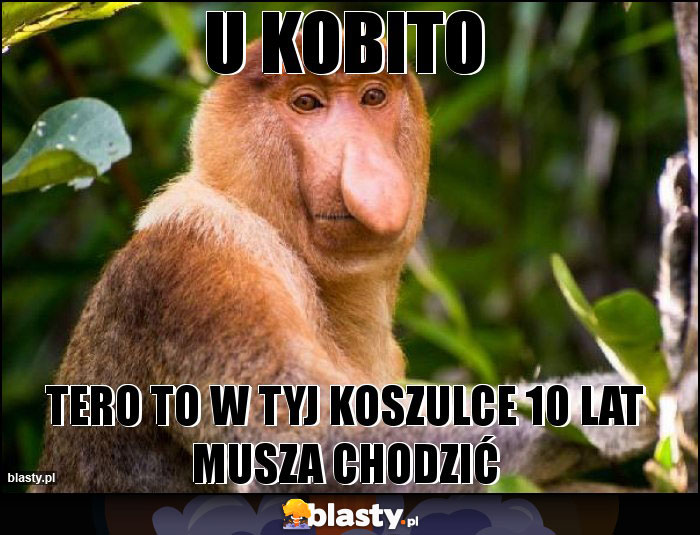 U kobito