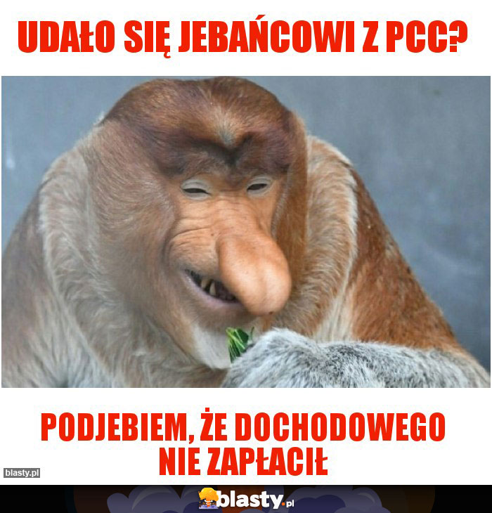 udało się jebańcowi z pcc?