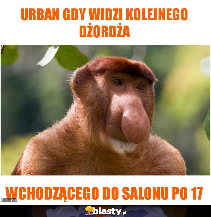 Urban gdy widzi kolejnego dżordża