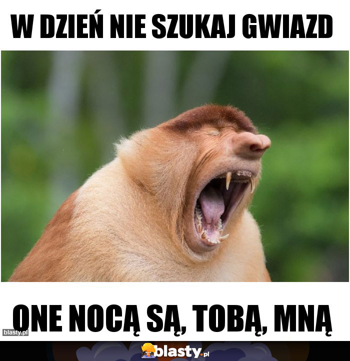 W DZIEŃ NIE SZUKAJ GWIAZD