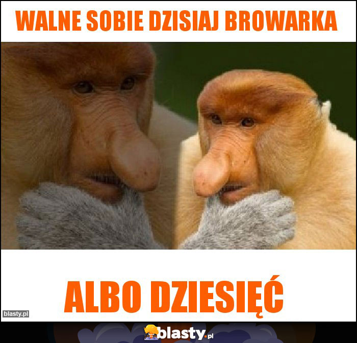 WALNE SOBIE DZISIAJ BROWARKA