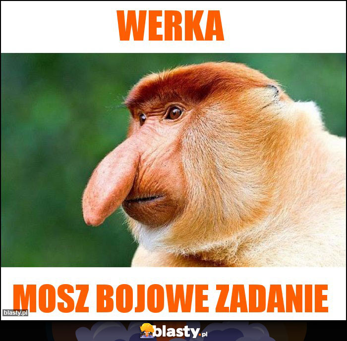 Werka