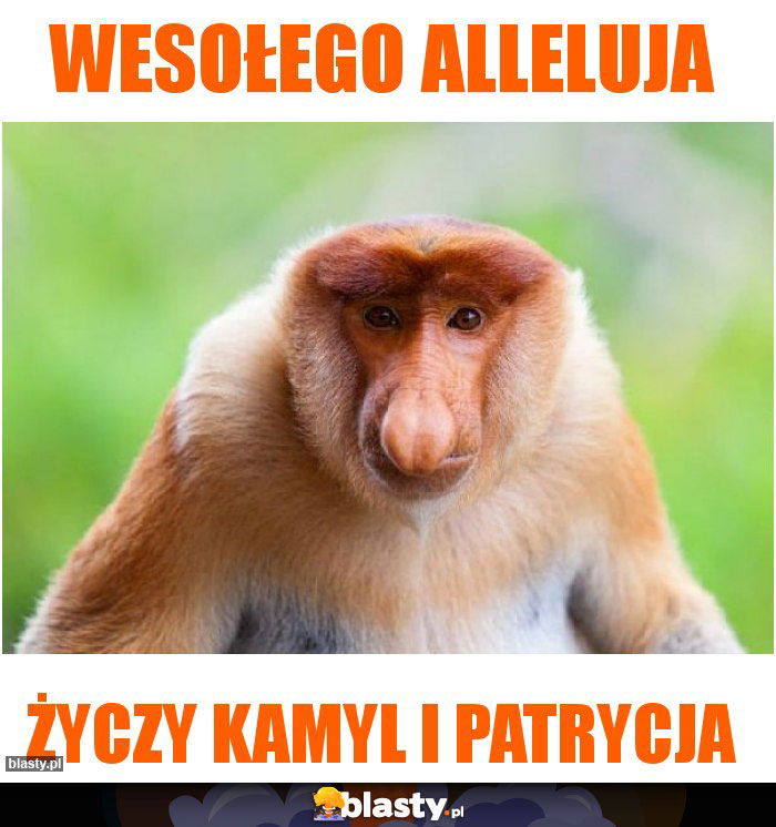 Wesołego Alleluja