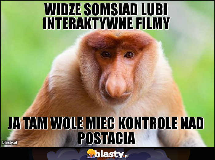 Widze somsiad lubi interaktywne filmy