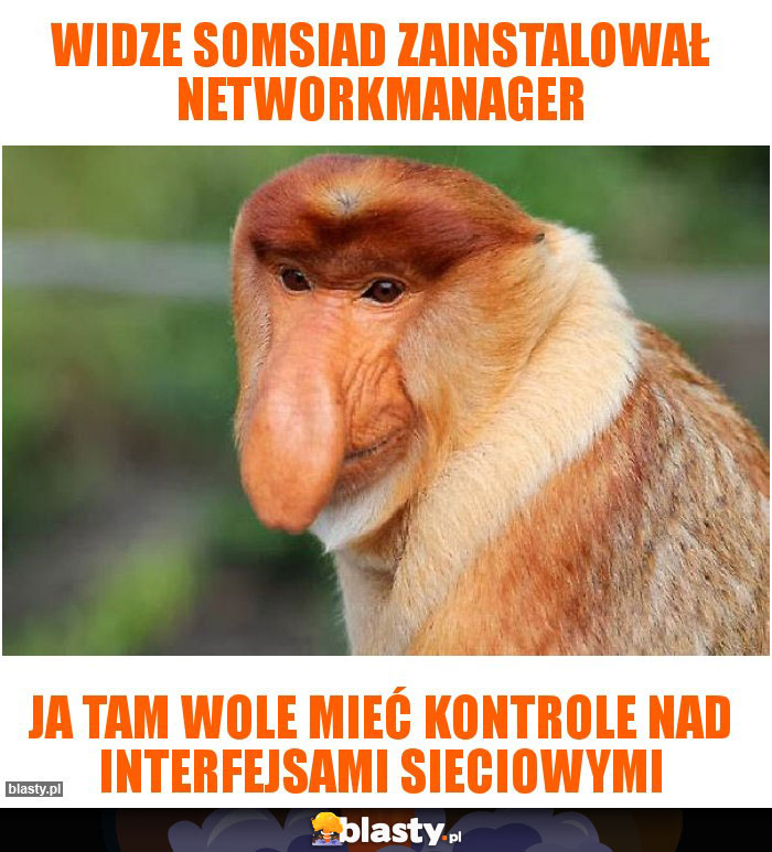 widze somsiad zainstalował NetworkManager