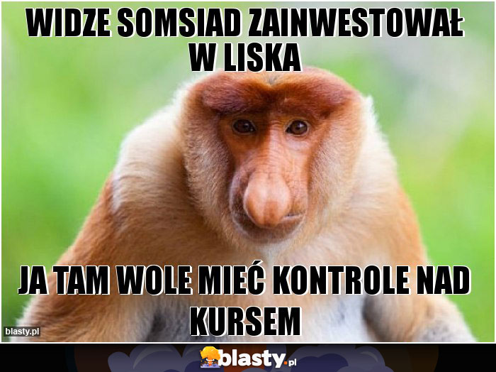 WIDZE SOMSIAD ZAINWESTOWAŁ W LISKA